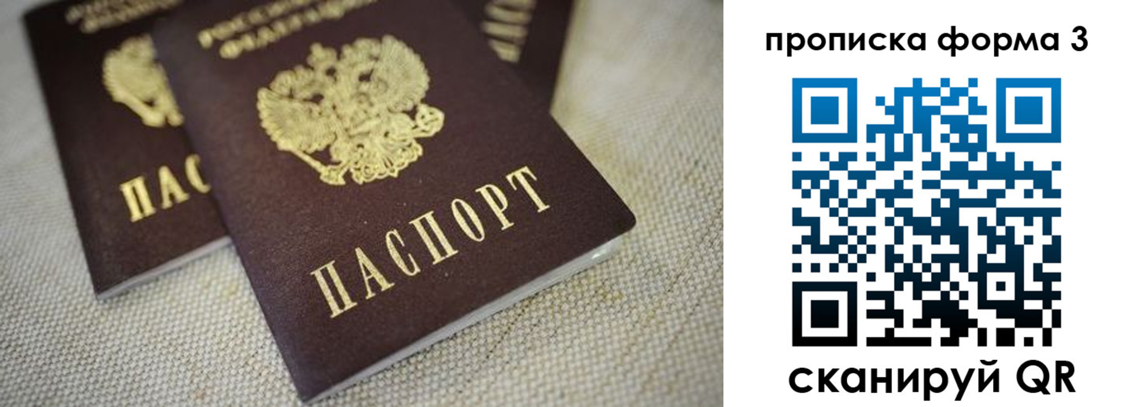 прописка поиск в Бронницах
